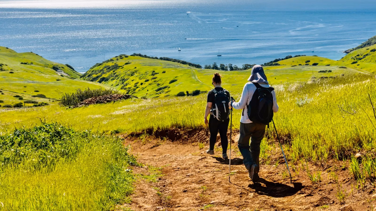 my-2026-escape-to-california-s-channel-islands-a-first-person-paradise-image-0